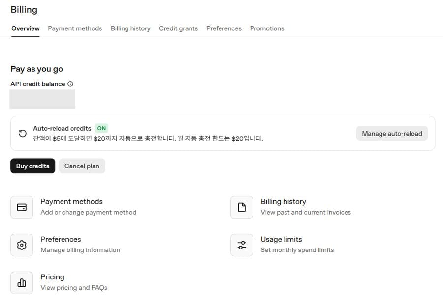 OpenAI Billing 화면: Buy credits 버튼과 Payment methods 메뉴